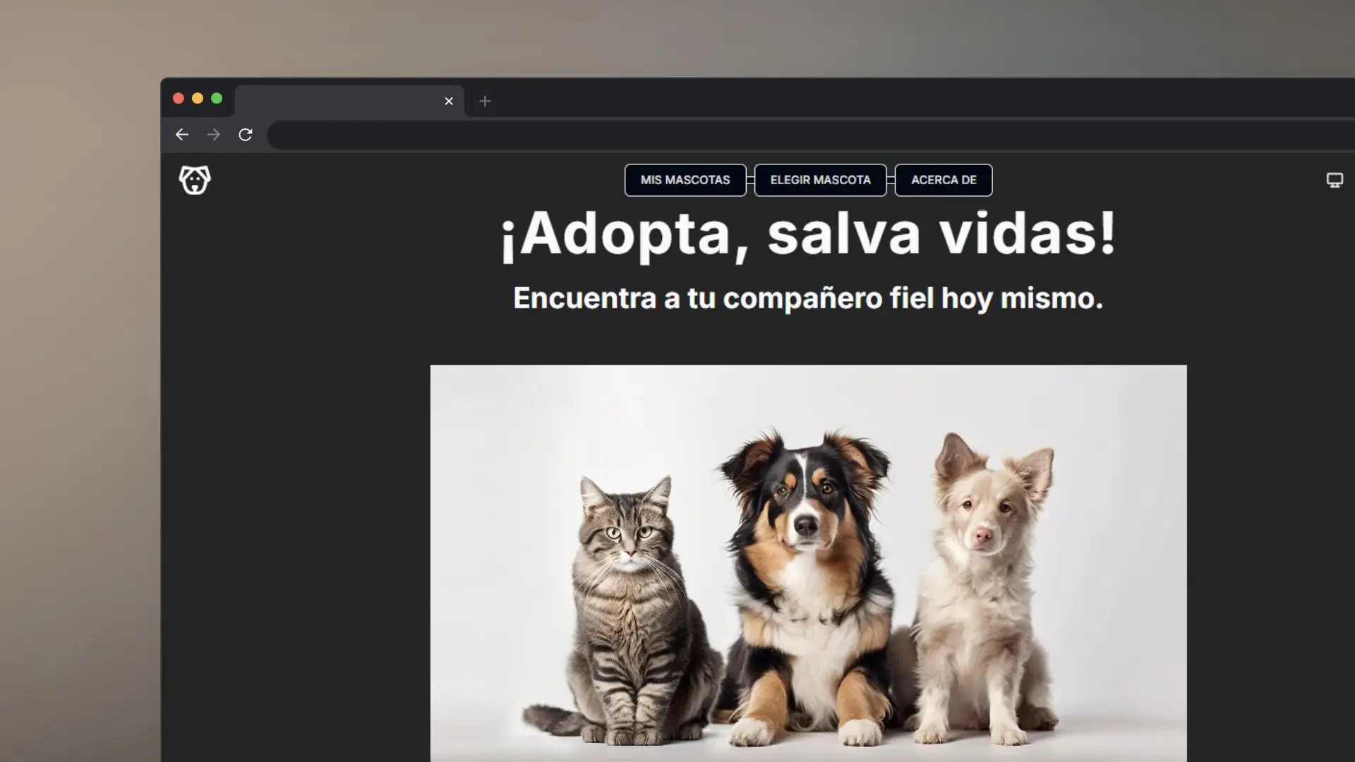 /projects/adoptar-mascota.webp